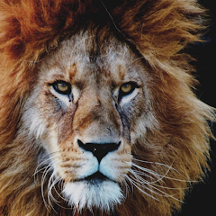 Animal Sounds – 100 Buttons app icon
